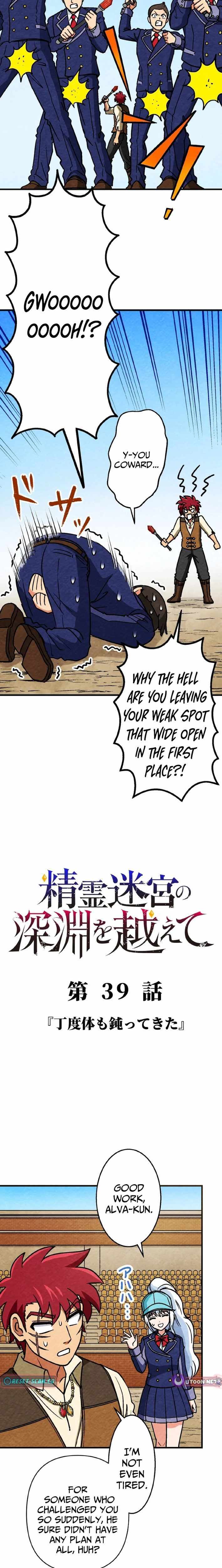 Beyond the Abyss of the Spirit Labyrinth Chapter 39 page 2 - 