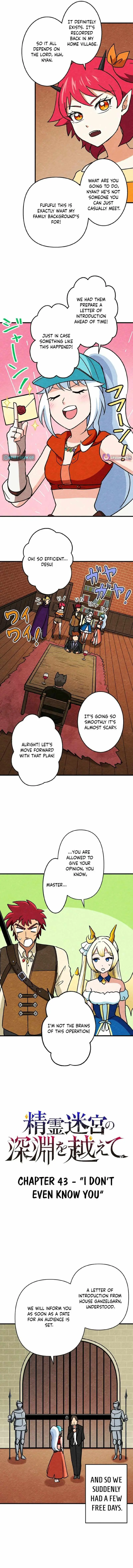 Beyond the Abyss of the Spirit Labyrinth Chapter 43 page 2 - 