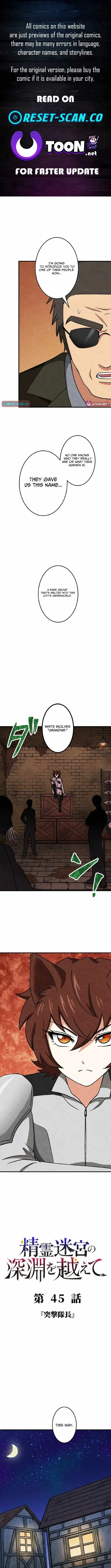 Beyond the Abyss of the Spirit Labyrinth Chapter 45 page 1 - 