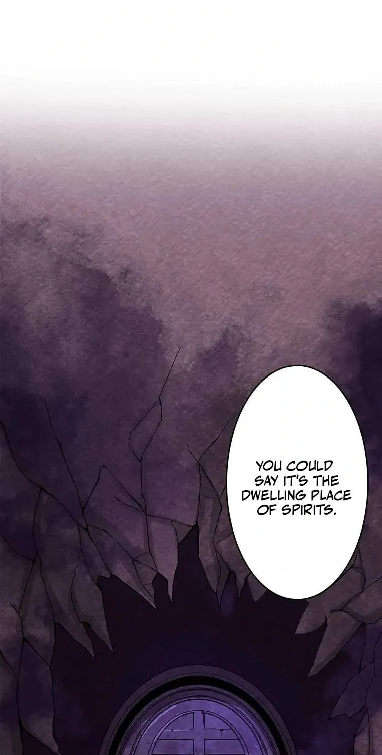 Beyond the Abyss of the Spirit Labyrinth Chapter 8 page 40 - 