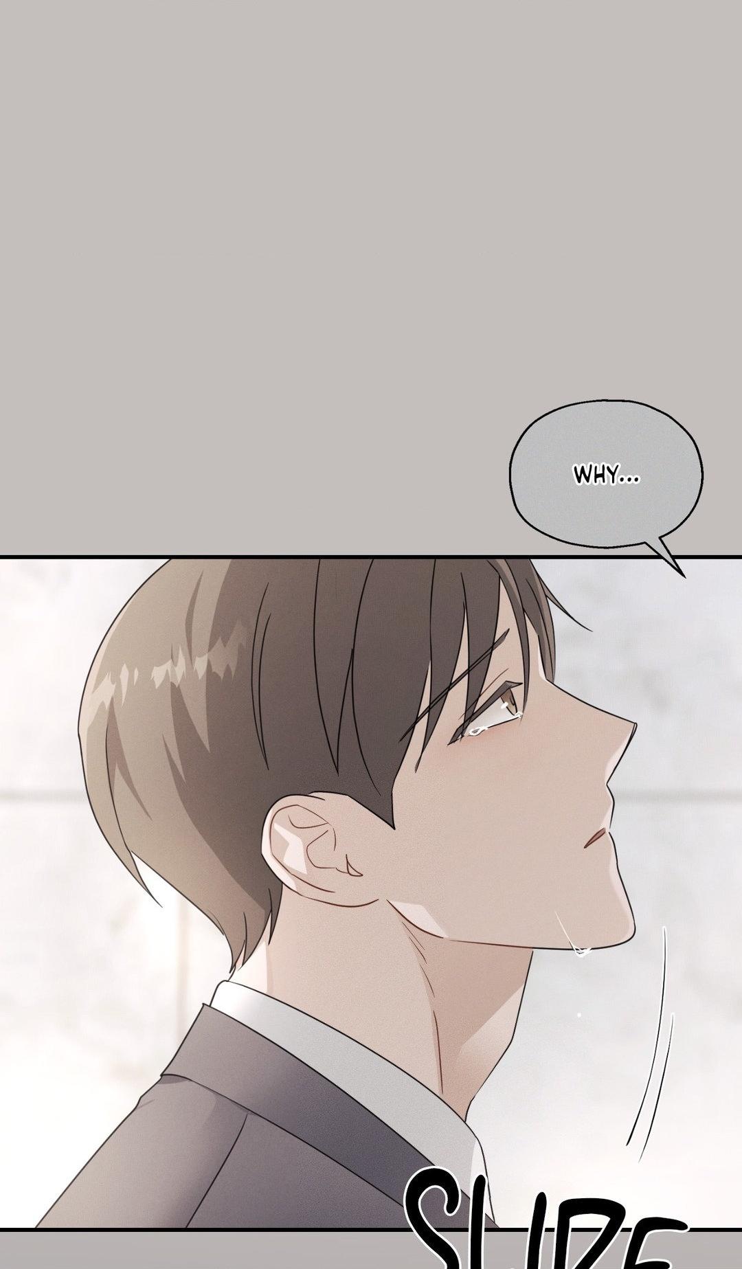 Beyond the Memories Chapter 27.2 page 18 - 