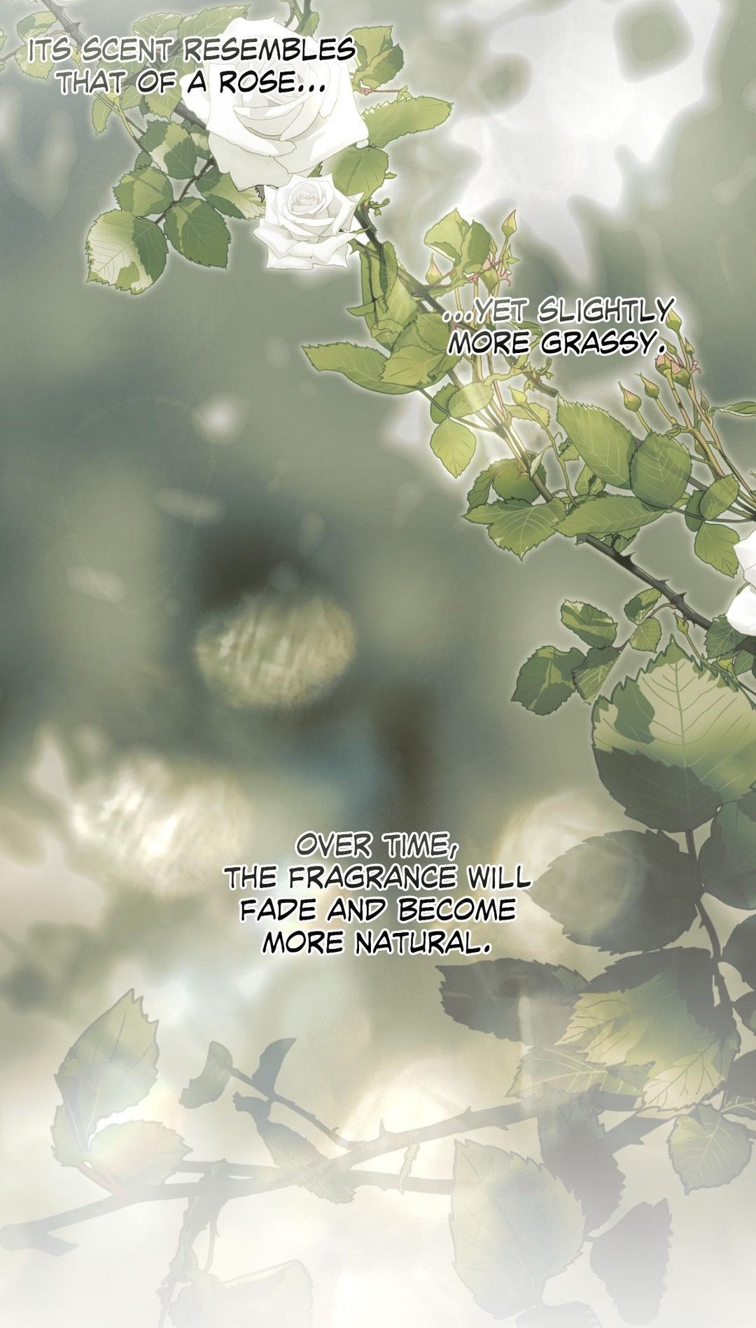 Beyond the Memories Chapter 27.2 page 69 - 