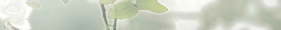 Beyond the Memories Chapter 29 page 133 - 