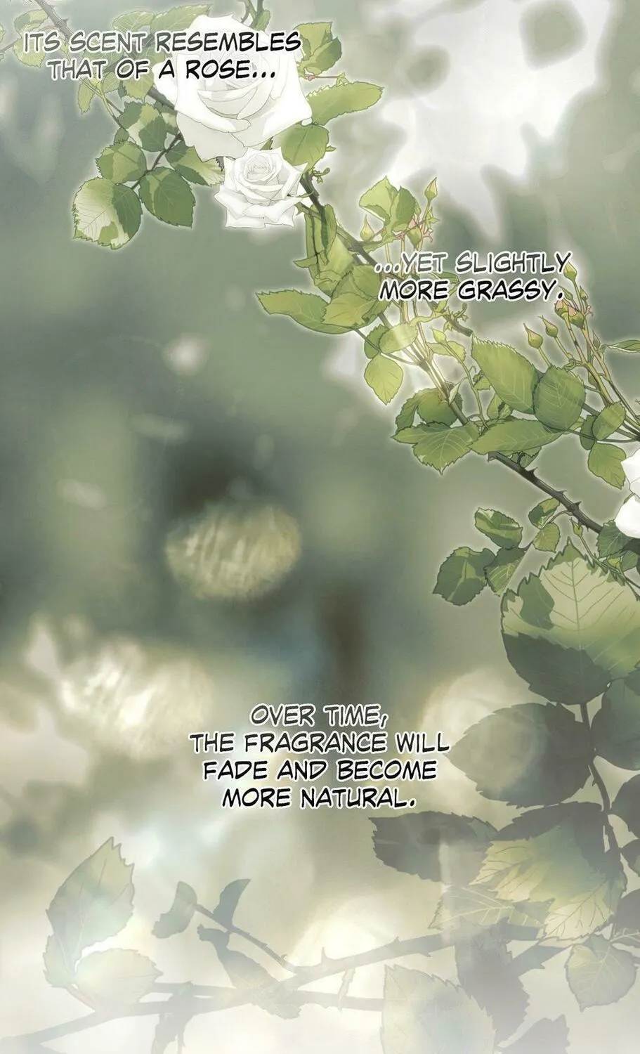 Beyond the Memories Chapter 29 page 134 - 