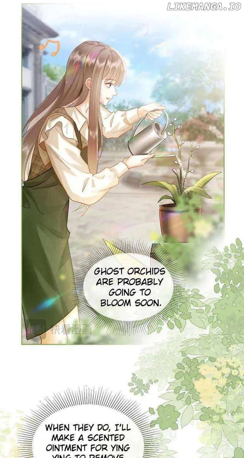 Billionaire’s Exclusive Adoration Chapter 14 page 35 - 