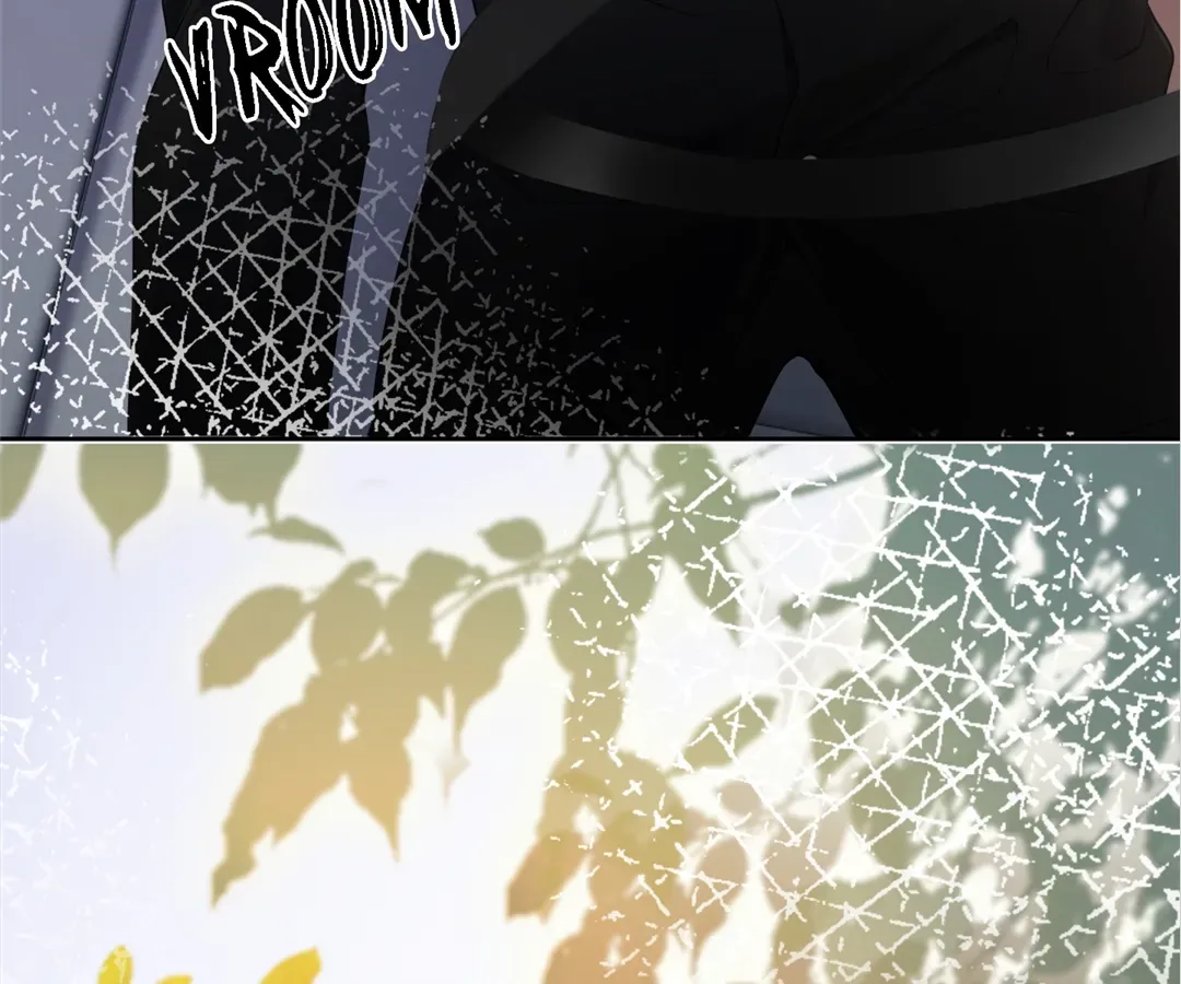 Billionaire’s Exclusive Adoration Chapter 3 page 104 - 