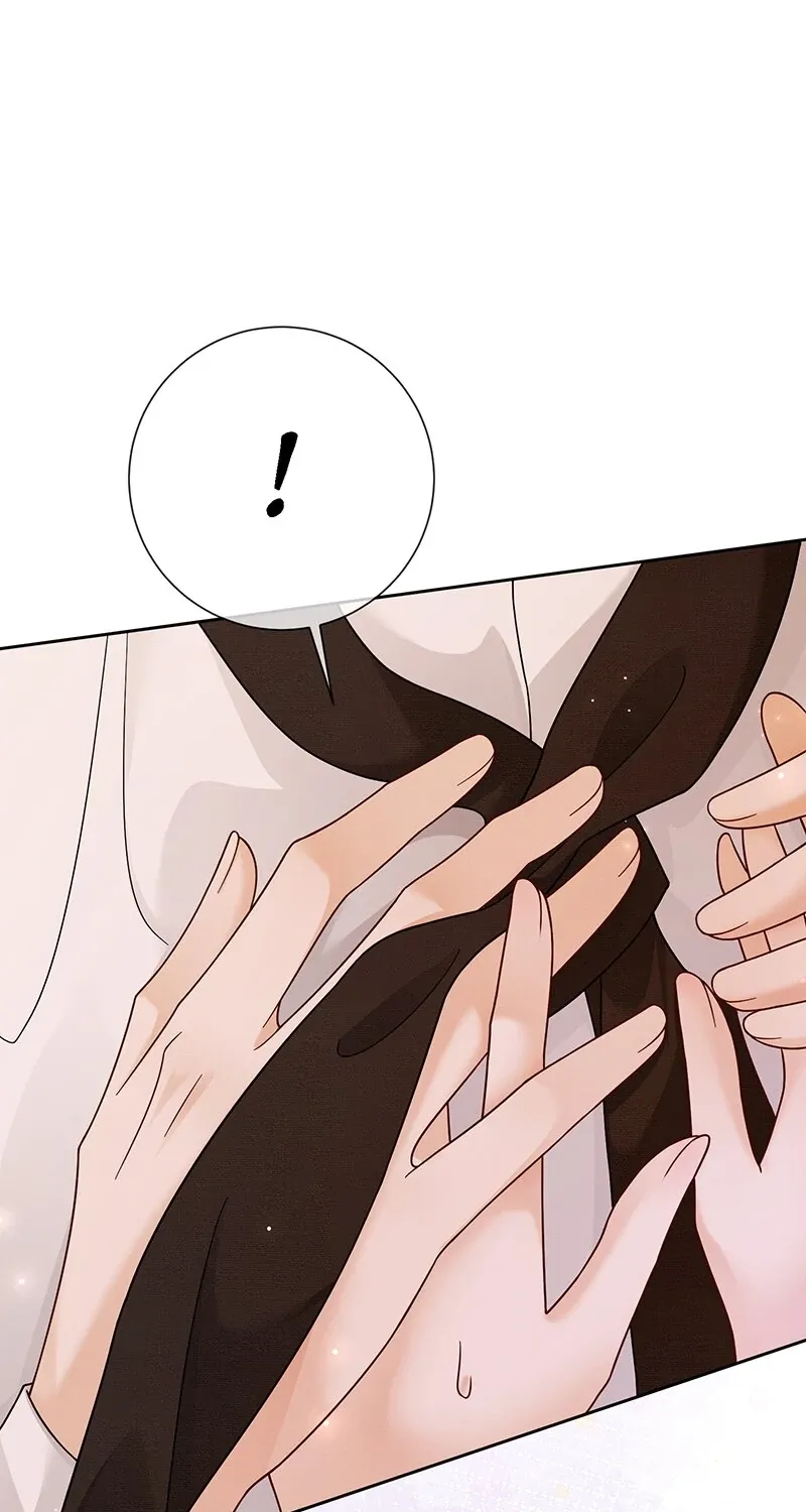 Billionaire’s Exclusive Adoration Chapter 38 page 15 - 