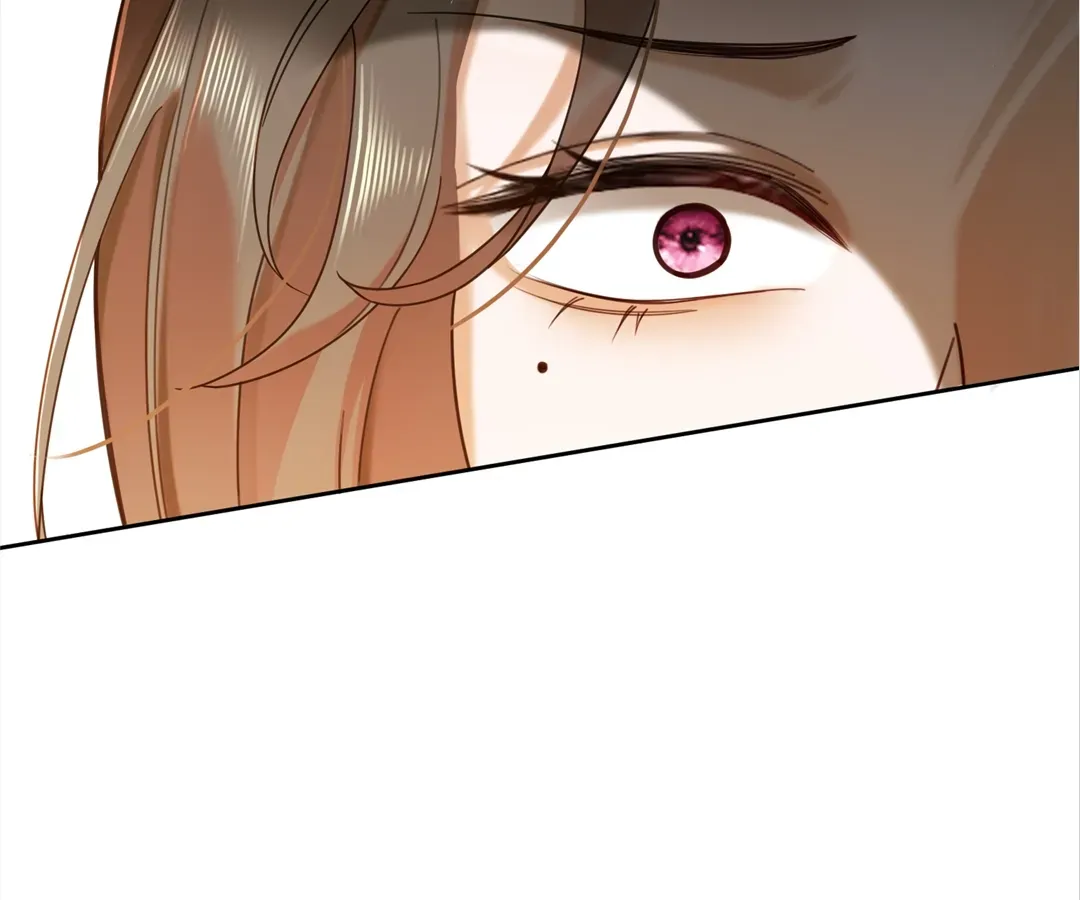 Billionaire’s Exclusive Adoration Chapter 43 page 66 - 
