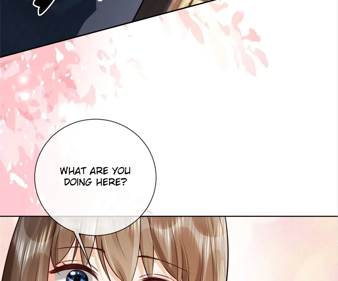 Billionaire’s Exclusive Adoration Chapter 46 page 98 - 