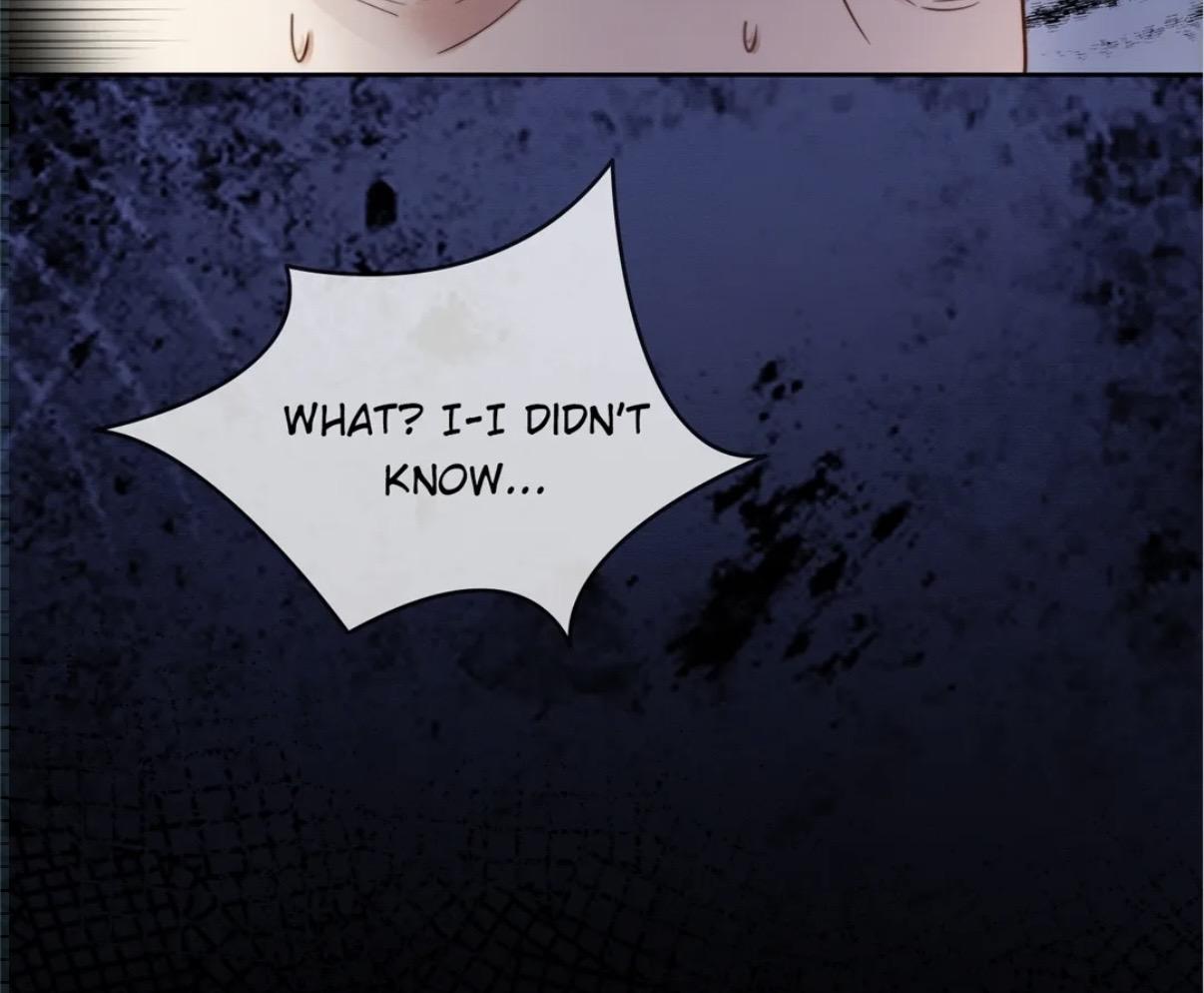 Billionaire’s Exclusive Adoration Chapter 47 page 8 - 