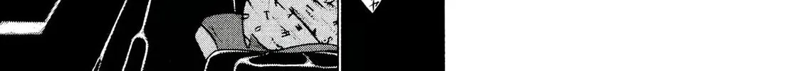 Birdy the Mighty Evolution Chapter 29 page 14 - 
