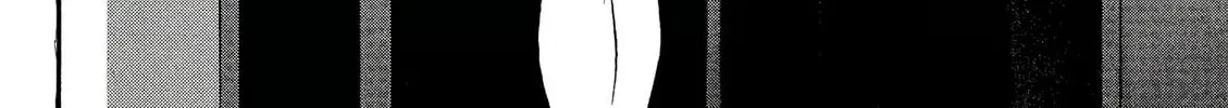 Birdy the Mighty Evolution Chapter 31 page 4 - 