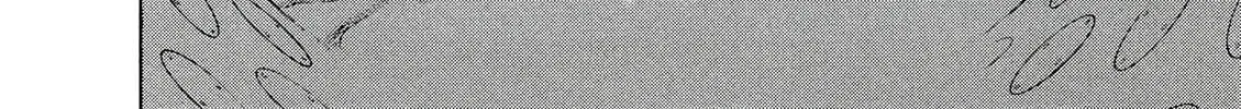 Birdy the Mighty Evolution Chapter 42 page 30 - 
