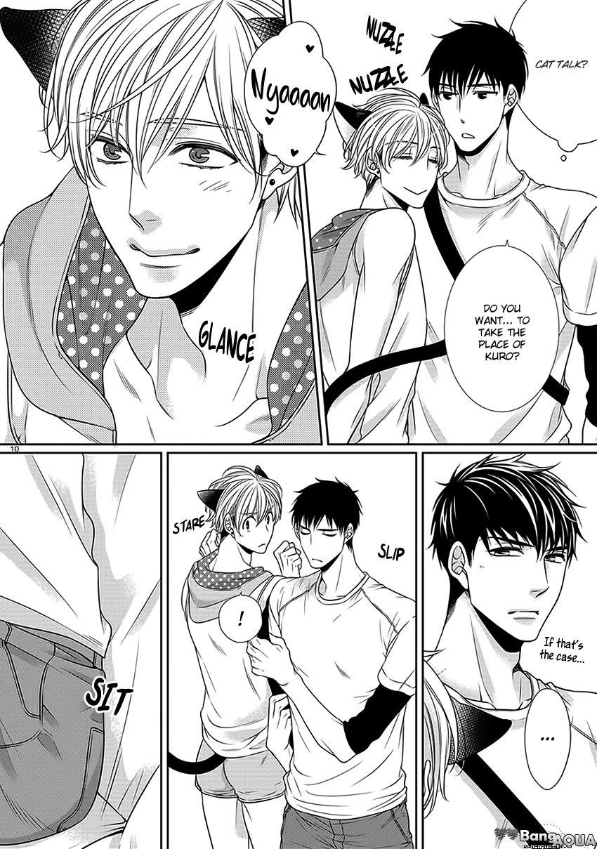 Bitch na Neko wa Koukishin ni Katenai Chapter 0 page 12 - 