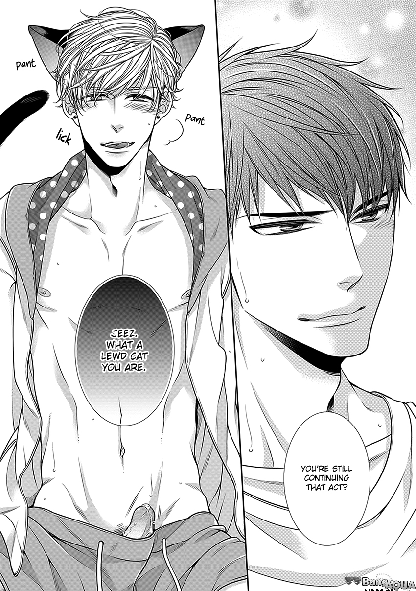 Bitch na Neko wa Koukishin ni Katenai Chapter 0 page 19 - 