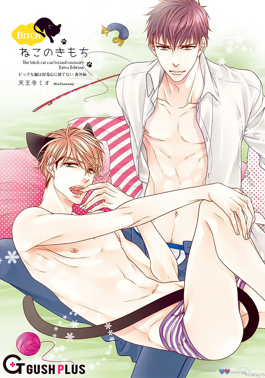Bitch na Neko wa Koukishin ni Katenai Chapter 0 page 3 - 