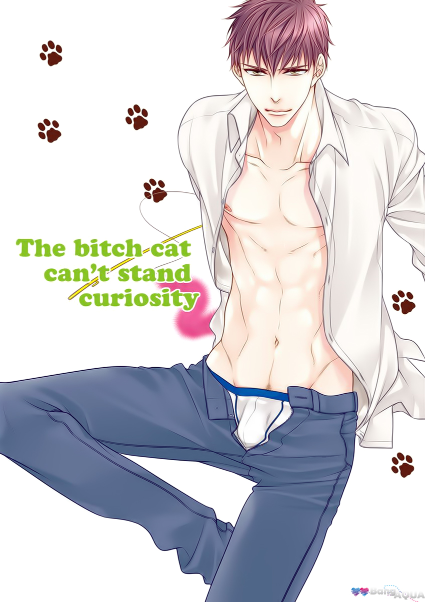 Bitch na Neko wa Koukishin ni Katenai Chapter 0 page 27 - 