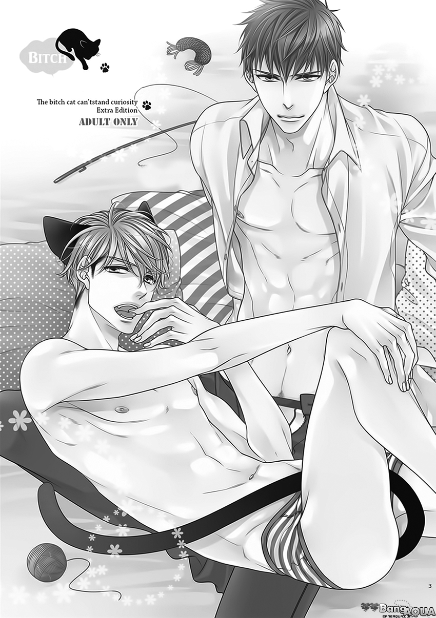Bitch na Neko wa Koukishin ni Katenai Chapter 0 page 5 - 