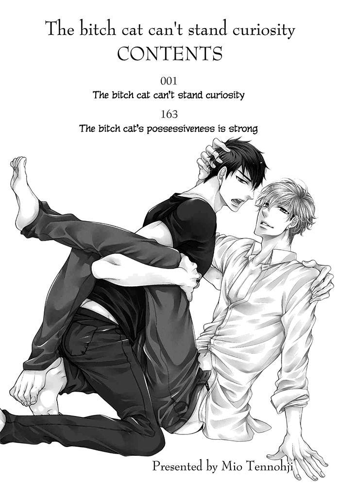 Bitch na Neko wa Koukishin ni Katenai Chapter 1 page 4 - 