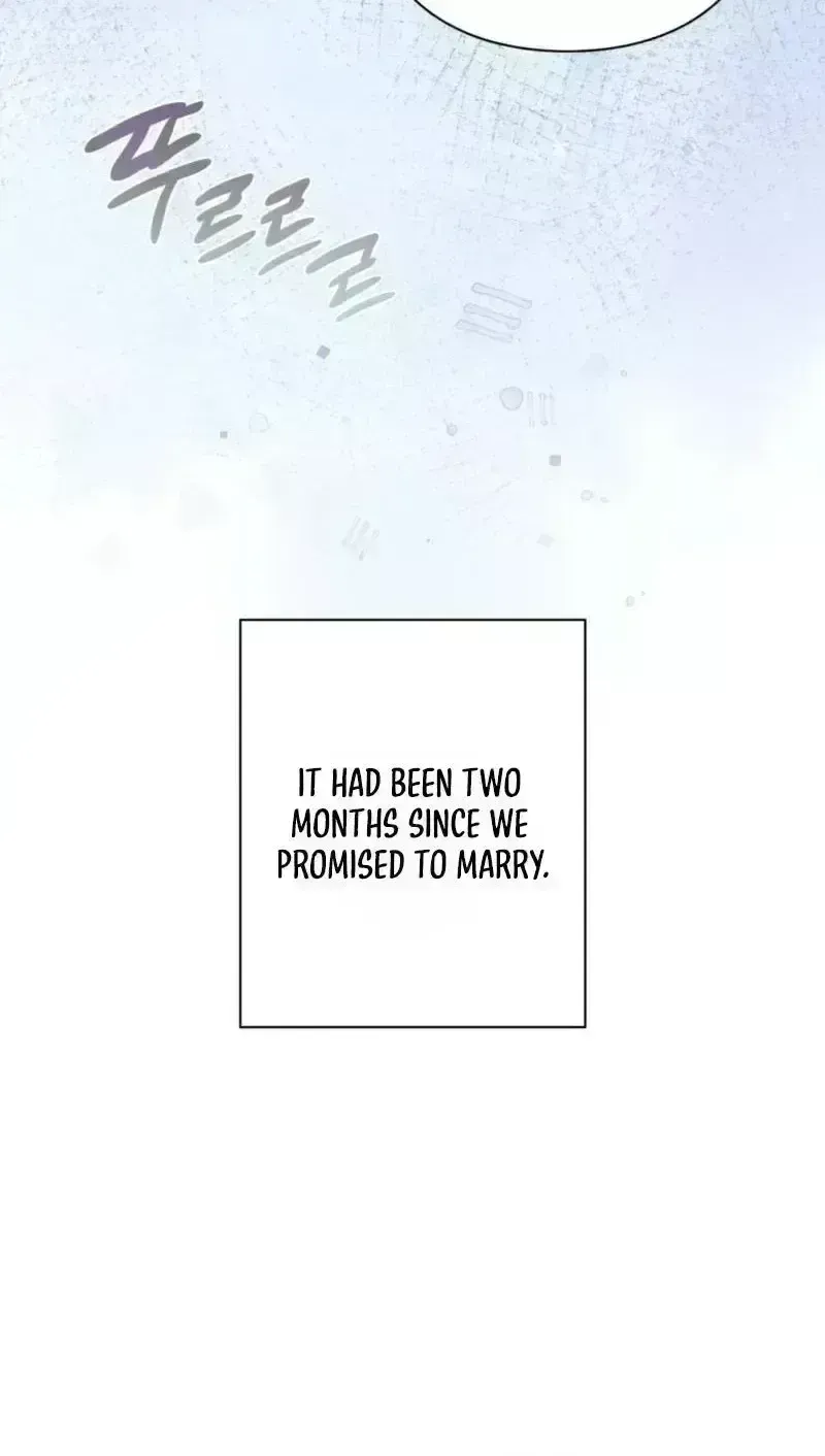  Chapter 2.5 page 8 - 