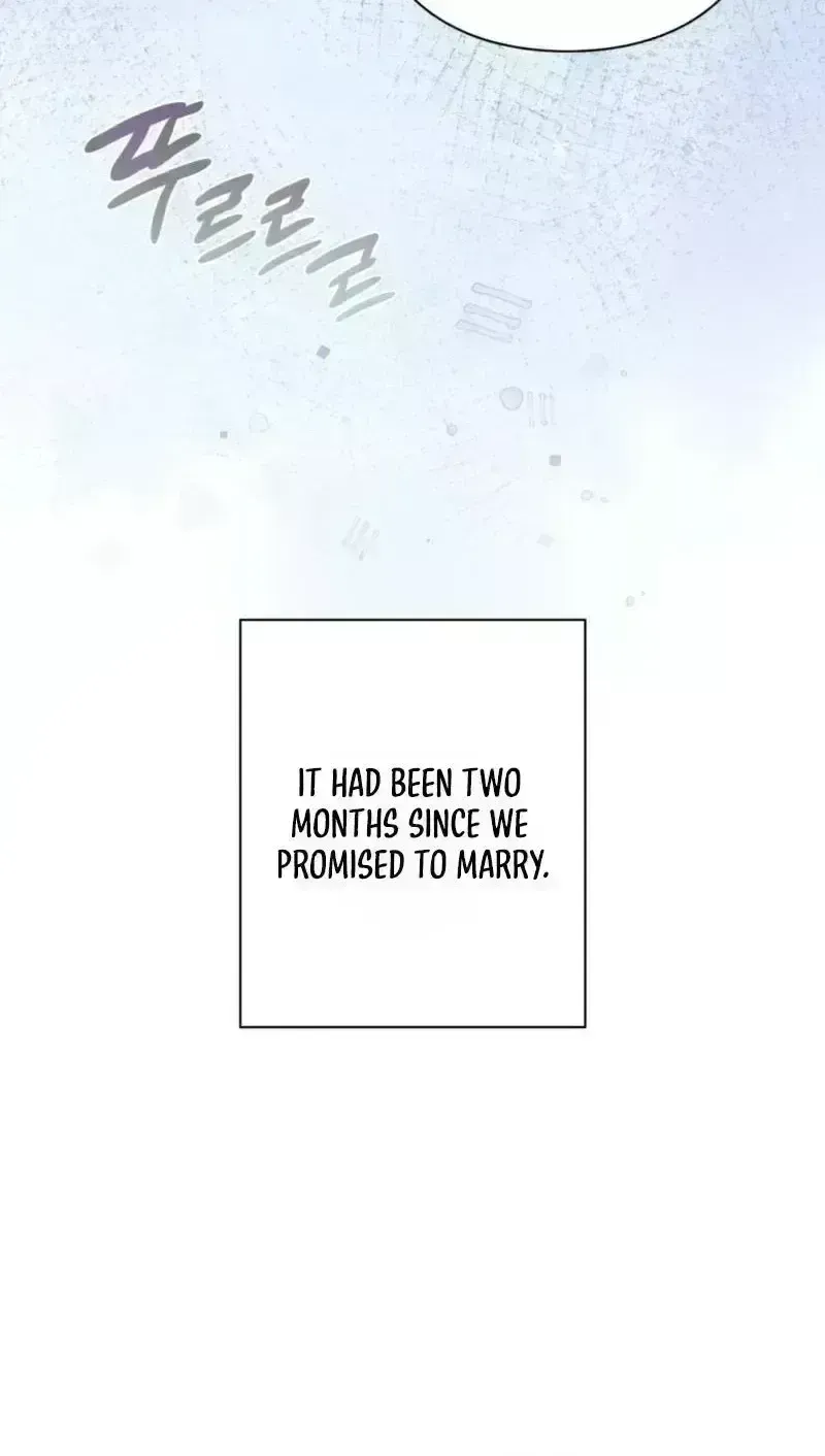  Chapter 2.6 page 8 - 
