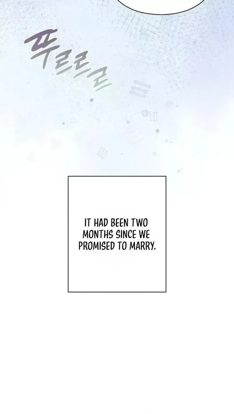  Chapter 2 page 8 - 