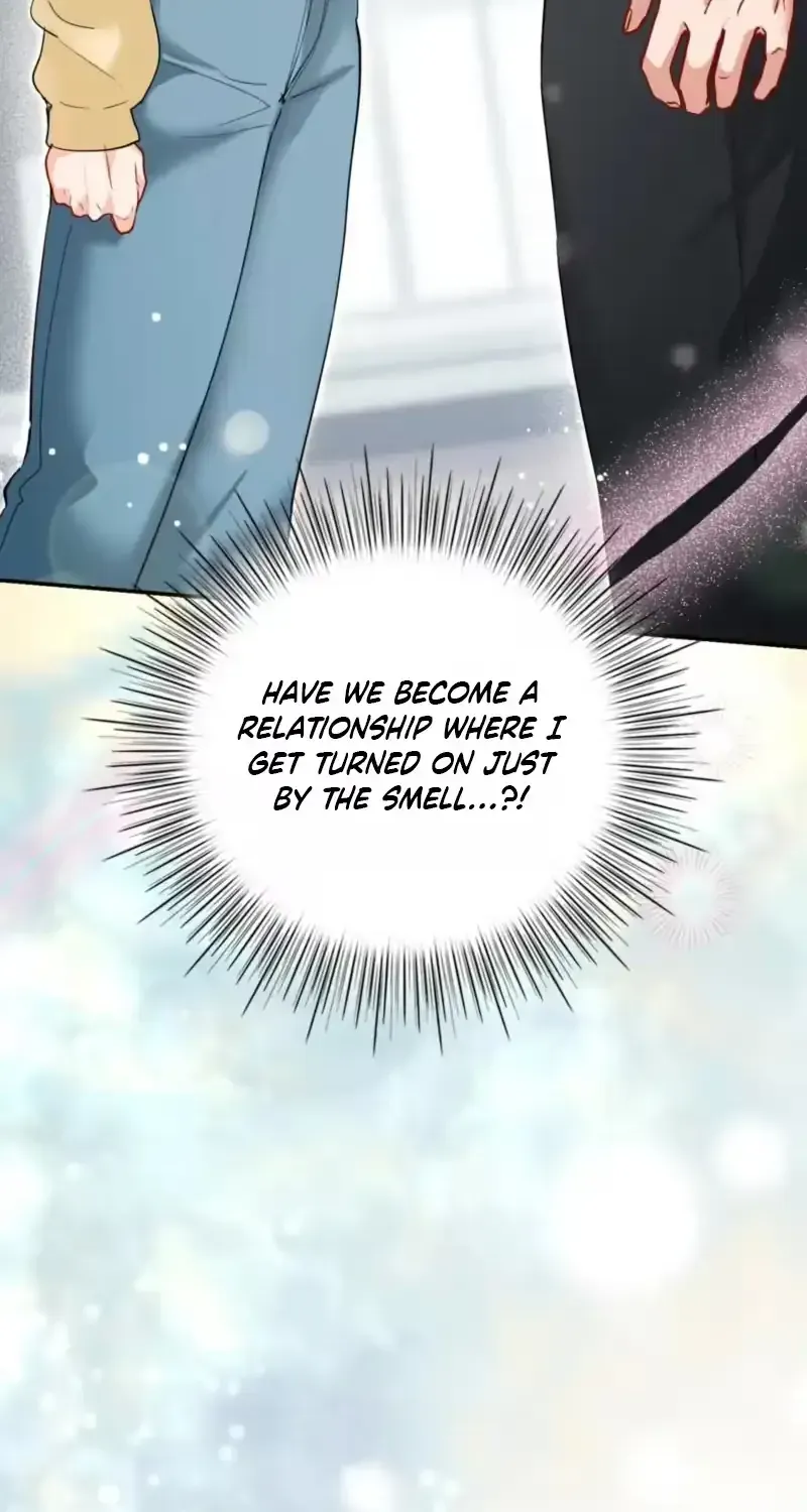  Chapter 3.1 page 96 - 