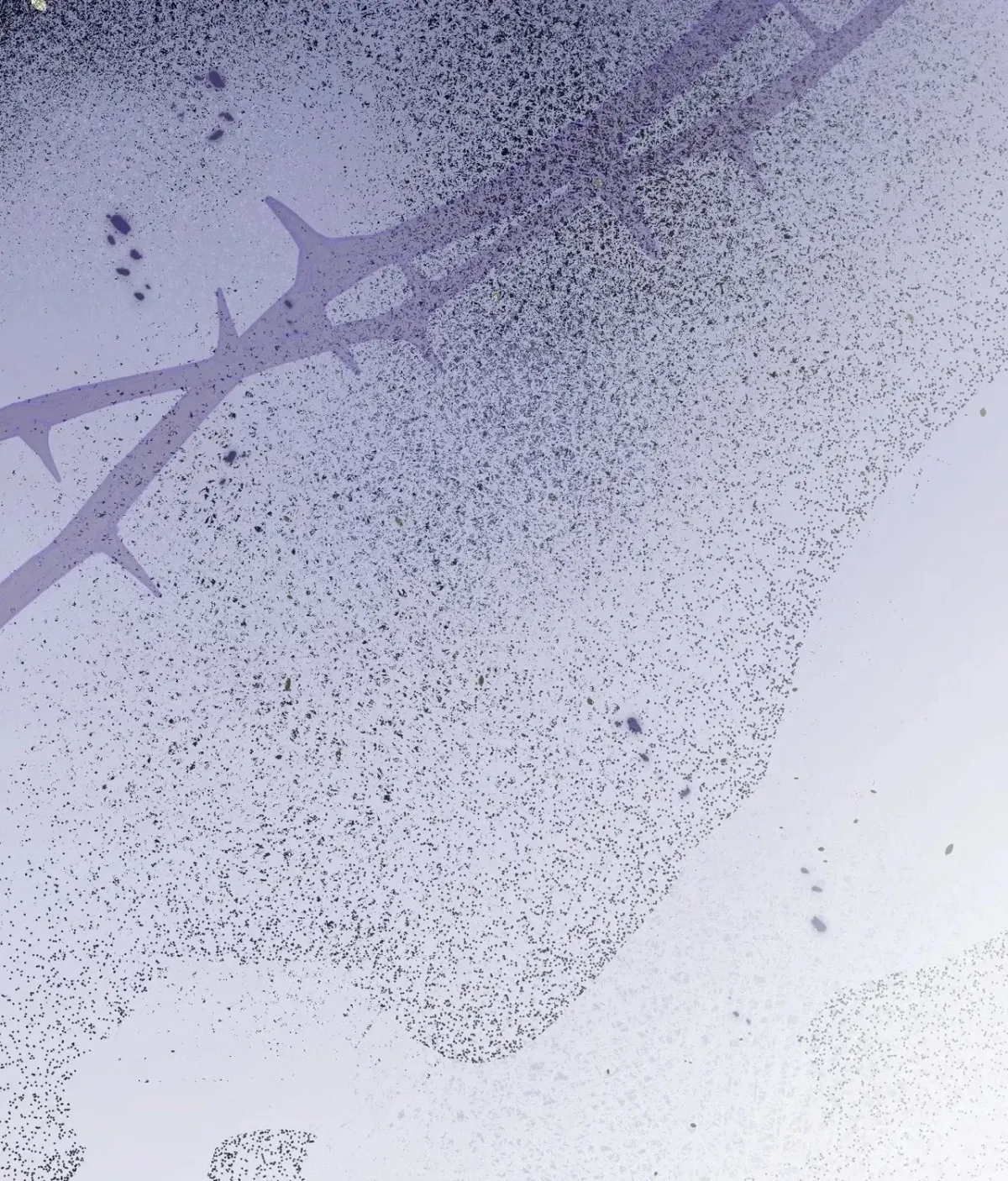  Chapter 5 page 179 - 