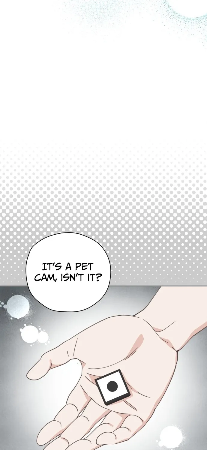 Bitter Sweet Home Chapter 17 page 27 - 