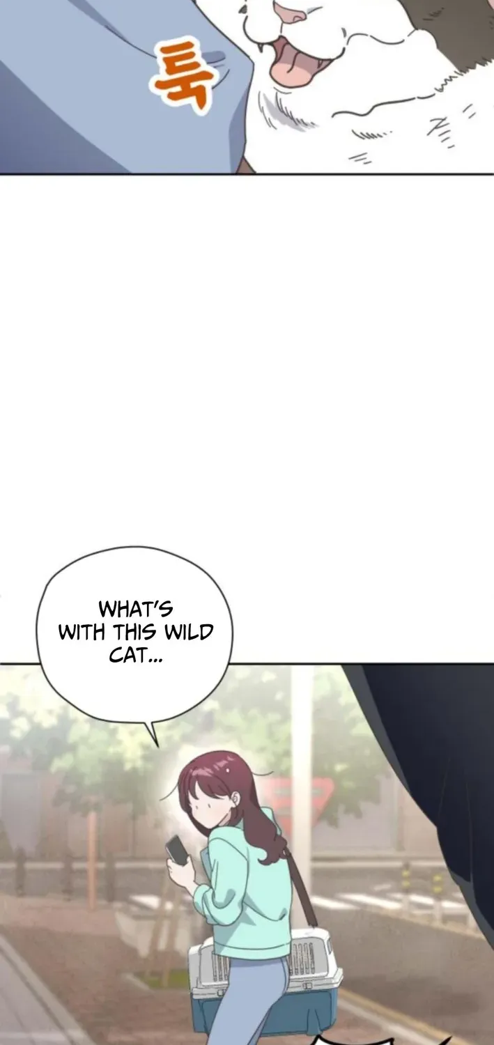 Bitter Sweet Home Chapter 7 page 41 - 