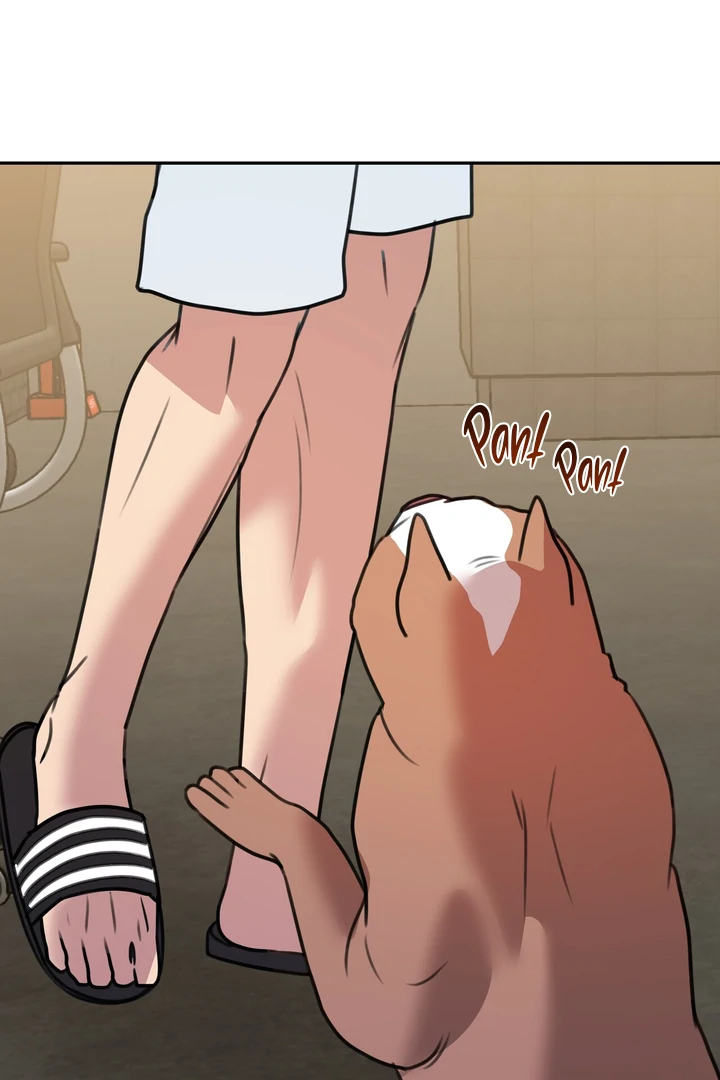 Black and Gray Chapter 11 page 101 - 