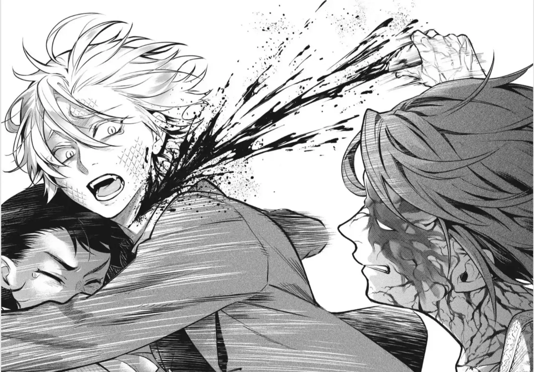Black Butler Chapter 206 page 18 - 