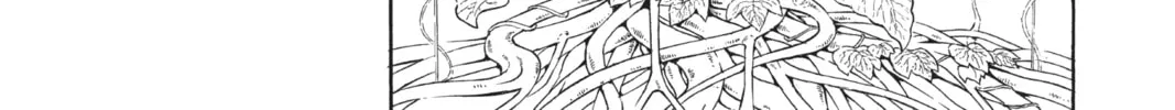Black Clover Chapter 12 page 22 - 
