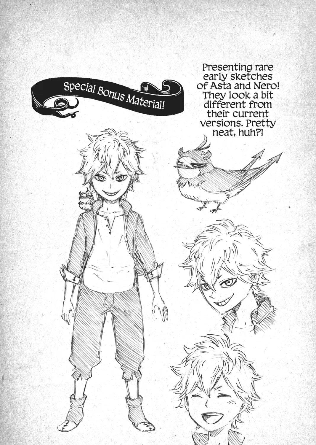 Black Clover Chapter 16.5 page 13 - 