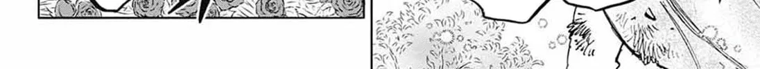 Black Clover Chapter 370.4 page 13 - 