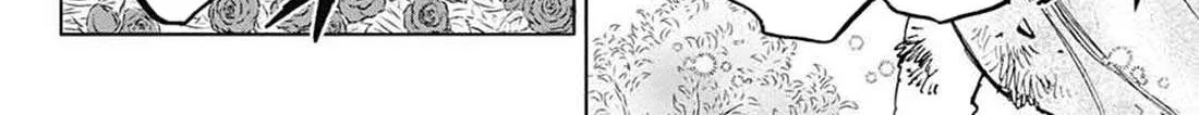Black Clover Chapter 370.5 page 13 - 