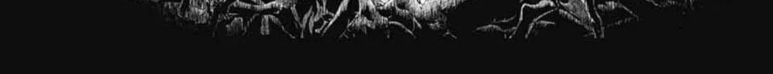 Black Clover Chapter 370.5 page 37 - 