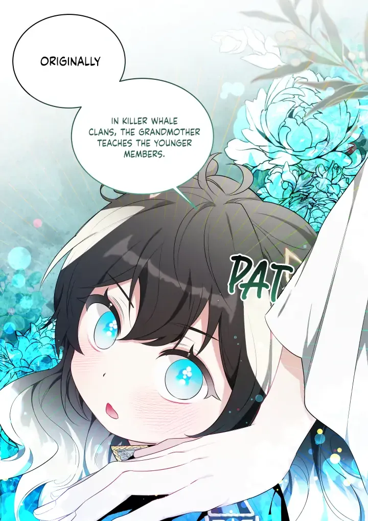 Black Killer Whale Baby Chapter 0 page 27 - 
