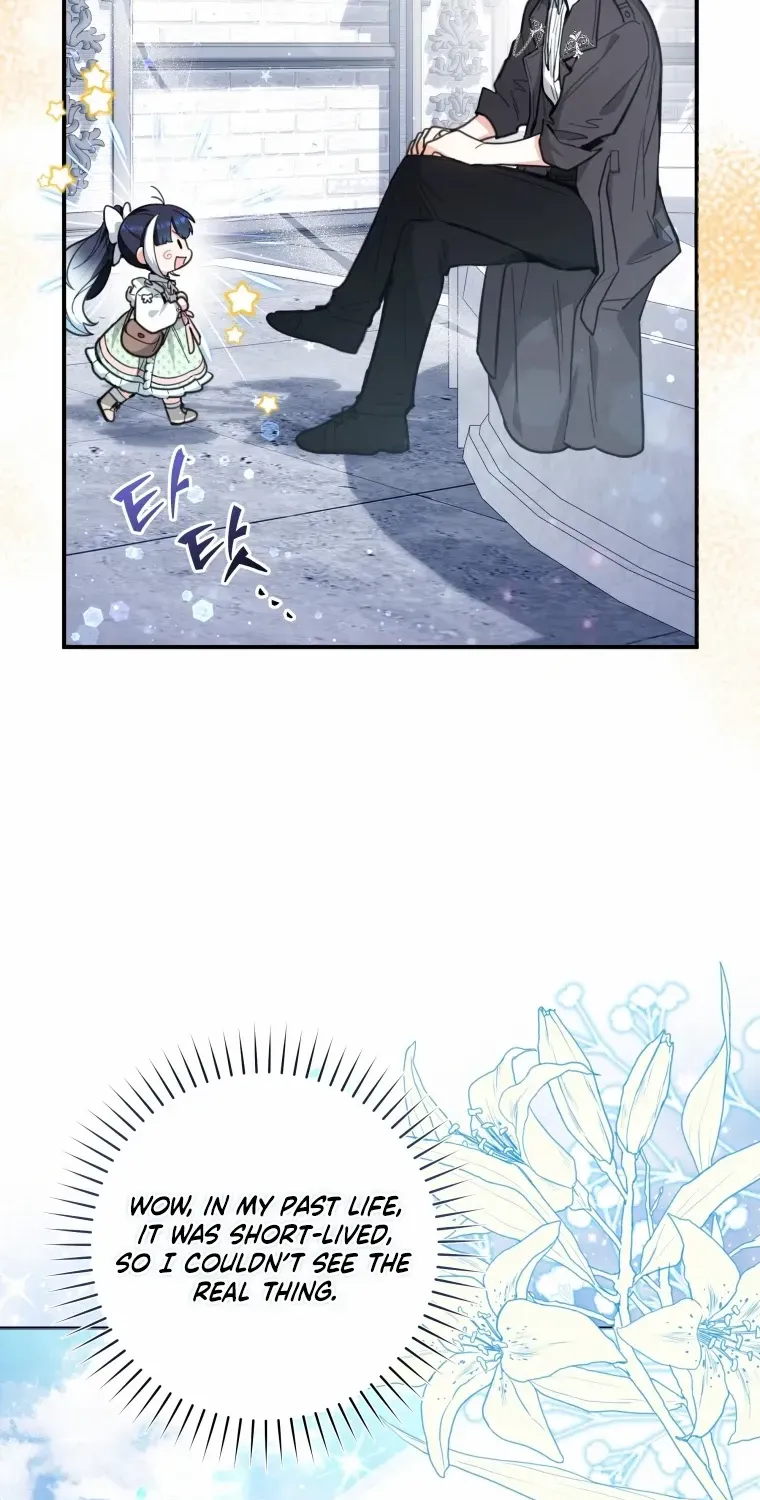 Black Killer Whale Baby Chapter 2 page 43 - 