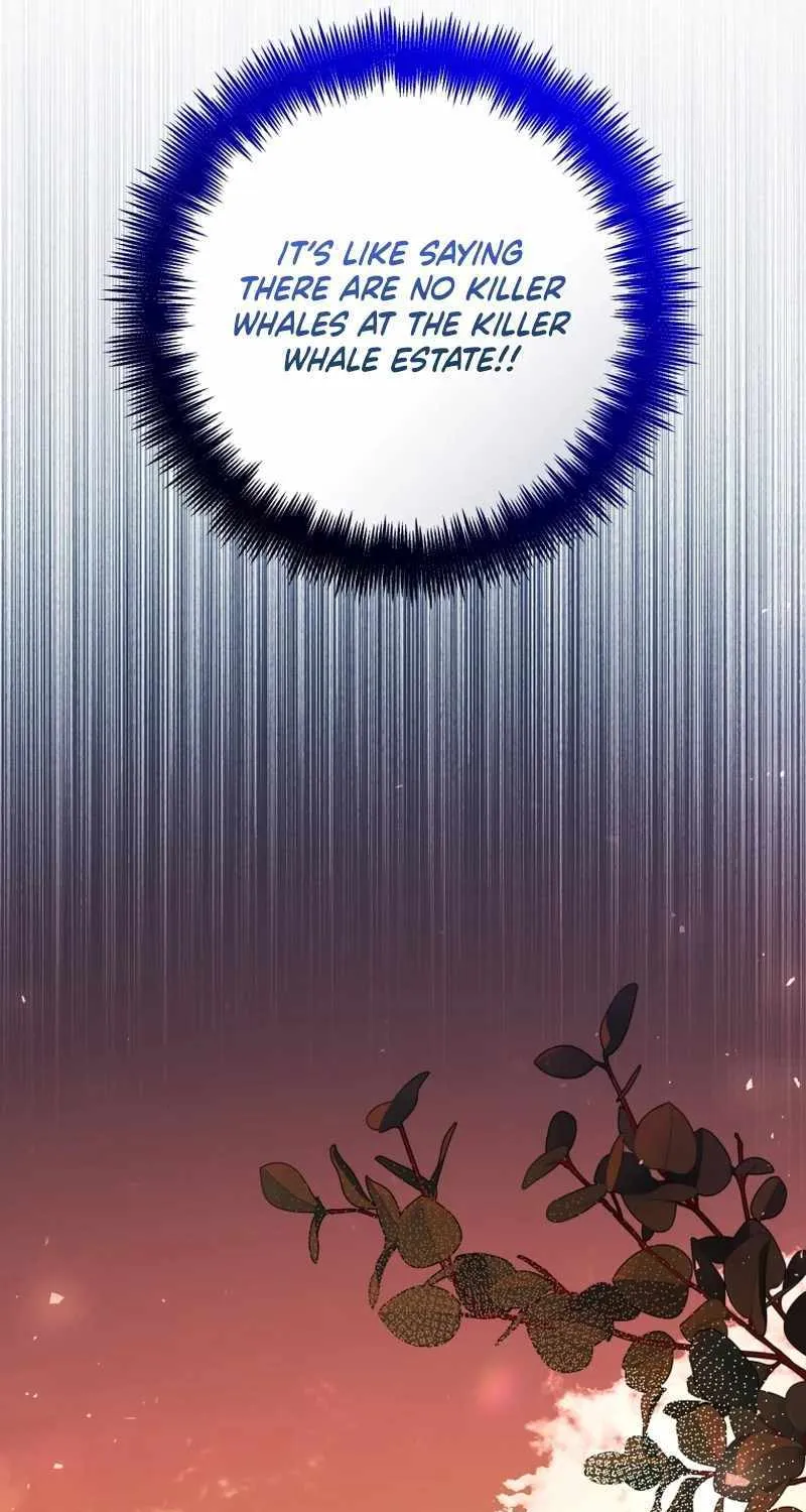 Black Killer Whale Baby Chapter 32 page 74 - 