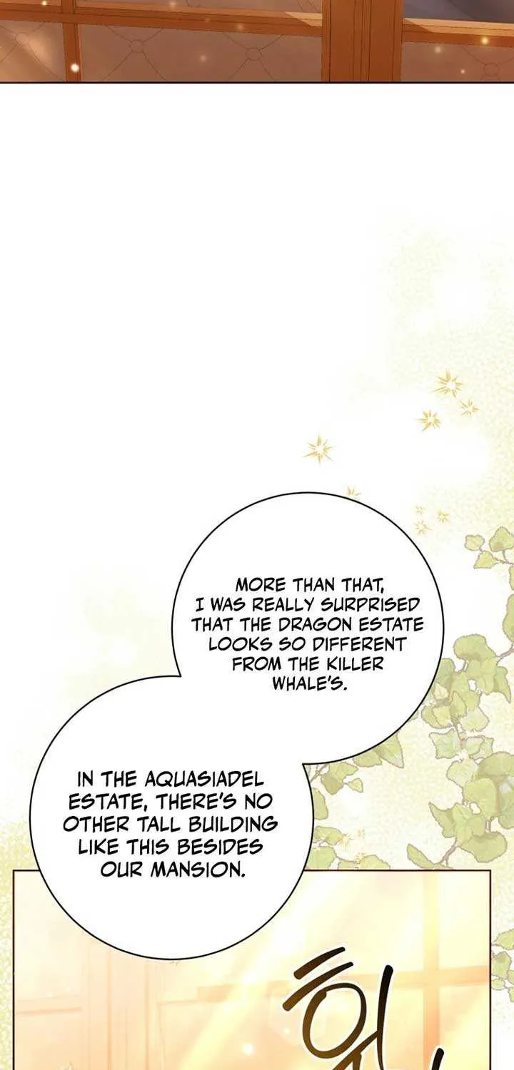 Black Killer Whale Baby Chapter 41 page 23 - 