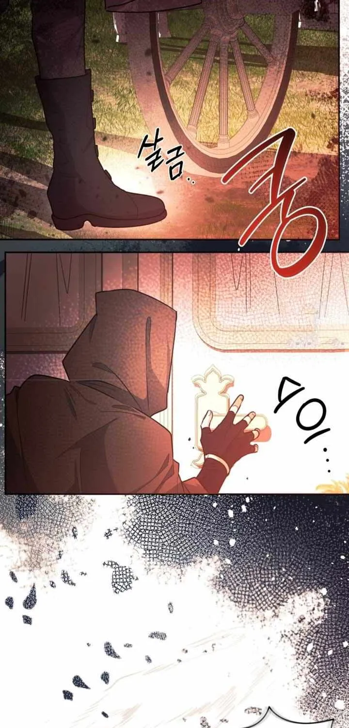 Black Killer Whale Baby Chapter 48 page 68 - 
