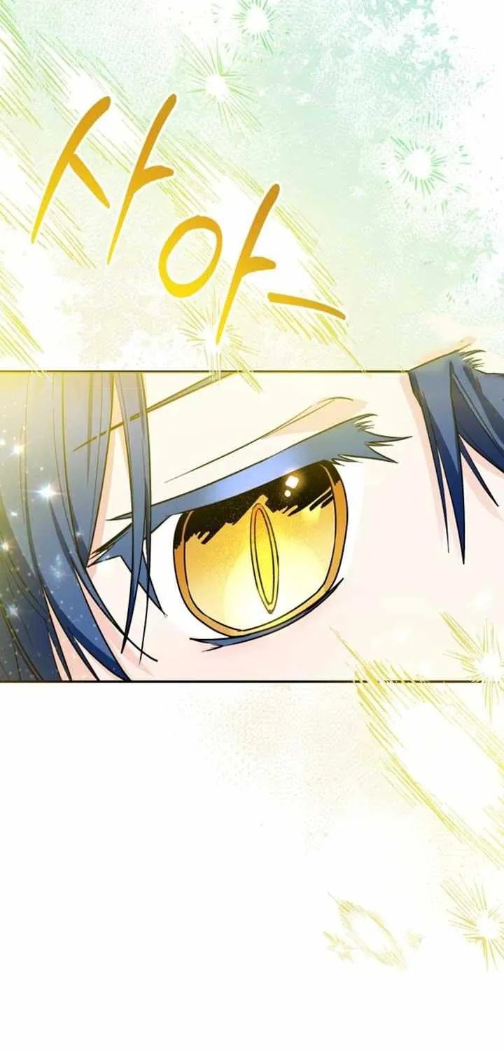 Black Killer Whale Baby Chapter 48 page 84 - 