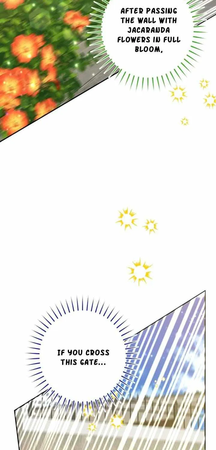 Black Killer Whale Baby Chapter 48 page 94 - 