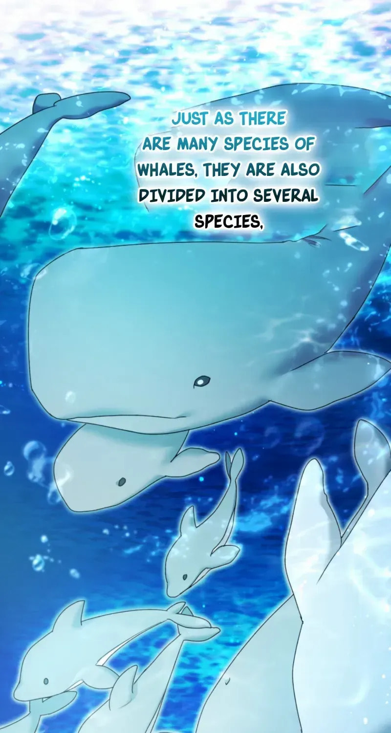 Black Killer Whale Baby Chapter 91 page 56 - 