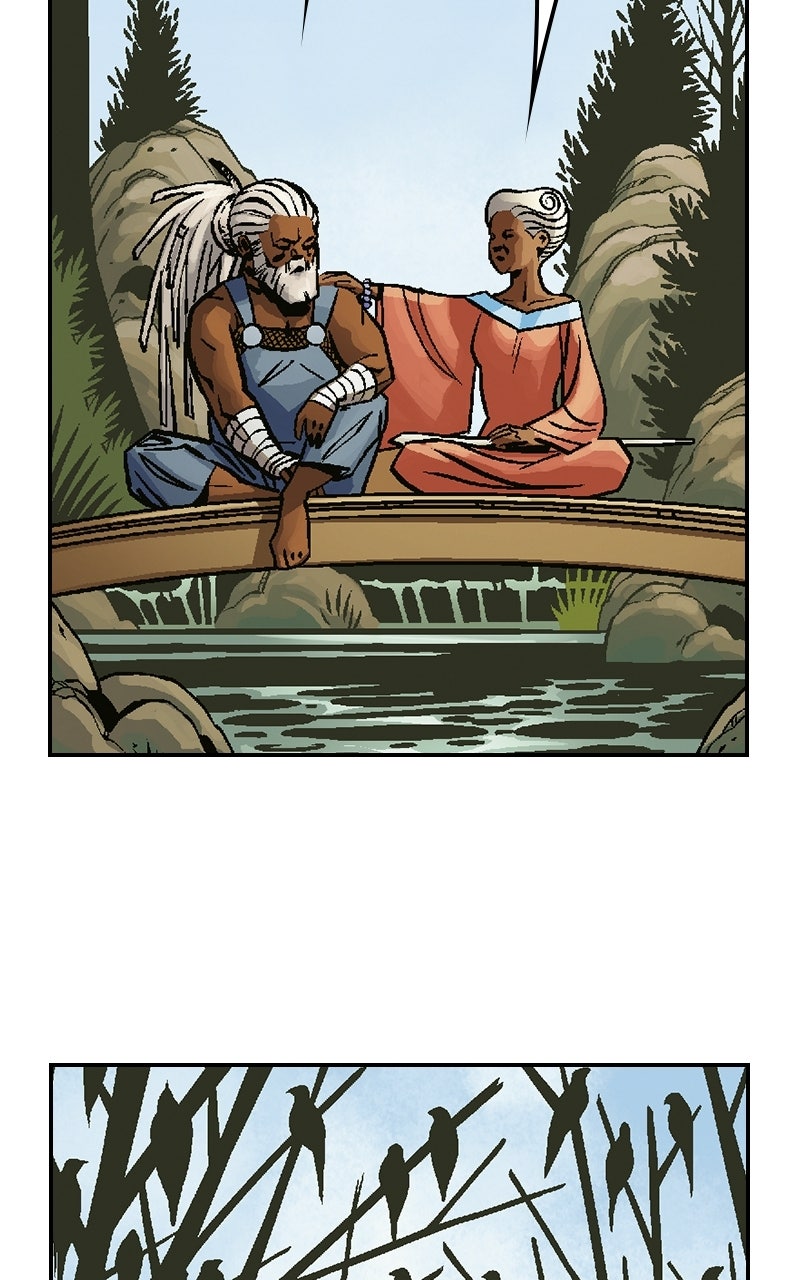 Black Panther:A Nation Under Our Feet Episode 17 page 13 - 