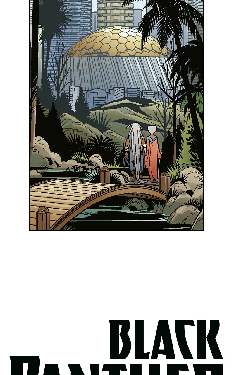 Black Panther:A Nation Under Our Feet Episode 17 page 19 - 