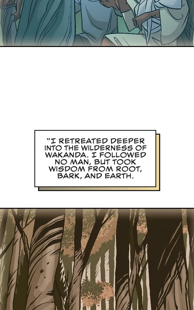 Black Panther:A Nation Under Our Feet Chapter 7 page 45 - 