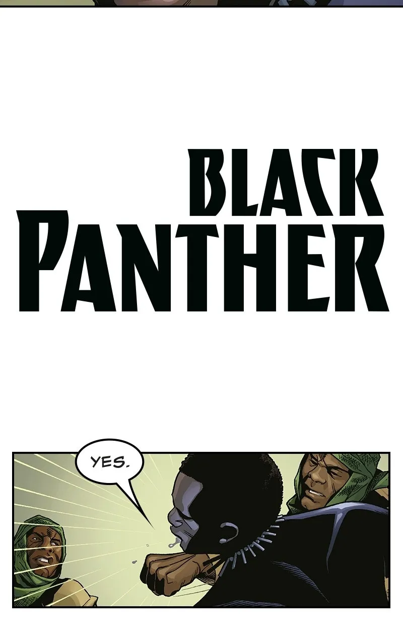 Black Panther:A Nation Under Our Feet Chapter 9 page 11 - 