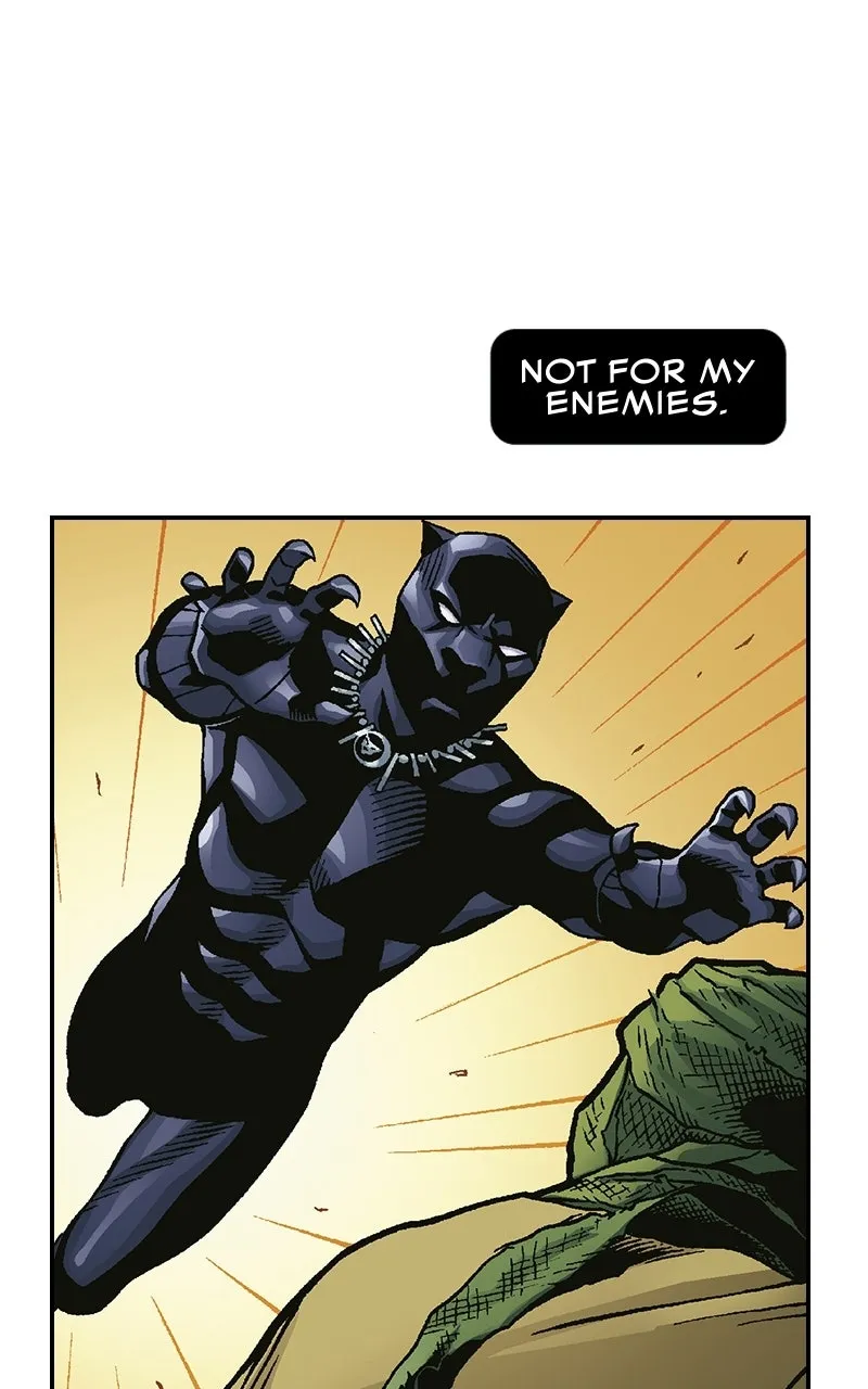 Black Panther:A Nation Under Our Feet Chapter 9 page 13 - 